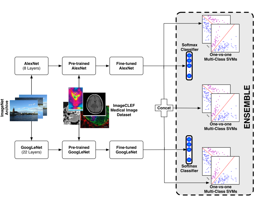 image-20201116080938006